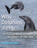 Why Dolphins Jump: A Picture Book of the Acrobats of the Sea