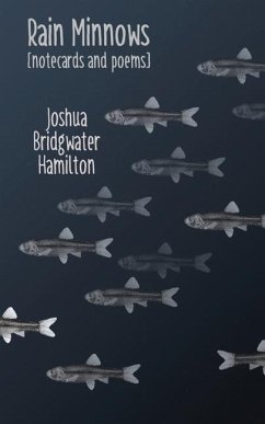 Rain Minnows - Hamilton, Joshua Bridgwater