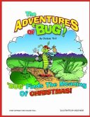Bug Finds the Meaning of Christmas