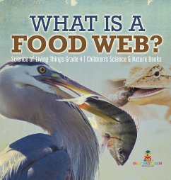 What is a Food Web?   Science of Living Things Grade 4   Children's Science & Nature Books - Baby