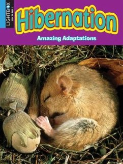 Hibernation - McDowell, Pamela