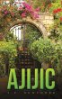 Ajijic - Bild 1
