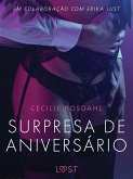 Surpresa de Aniversário - Um conto erótico (eBook, ePUB)