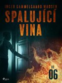 Spalující vina - Díl 6 (eBook, ePUB)