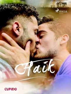 Cover Haik (eBook, ePUB)
