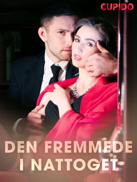 Den fremmede i nattoget (eBook, ePUB) Den fremmede i nattoget (eBook, ePUB)