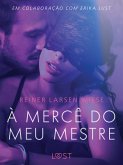 À Mercê do meu Mestre - Um conto erótico (eBook, ePUB)