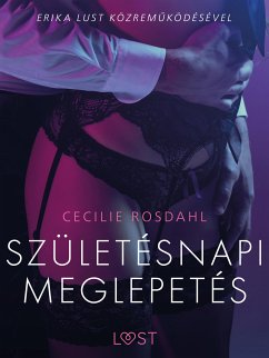 Születésnapi meglepetés – Szex és erotika (eBook, ePUB) - Rosdahl, Cecilie