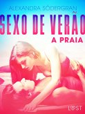 Sexo de Verão 2: A Praia - Conto Erótico (eBook, ePUB)