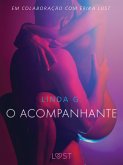 O acompanhante - Um conto erótico (eBook, ePUB)