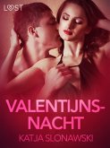 Valentijnsnacht - erotisch verhaal (eBook, ePUB)