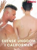 Svensk ungdom i Californien (eBook, ePUB)