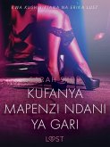Kufanya Mapenzi Ndani ya Gari - Hadithi Fupi ya Mapenzi (eBook, ePUB)
