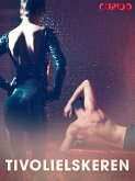 Tivolielskeren (eBook, ePUB)