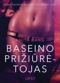 Baseino prižiūrėtojas - seksuali erotika (eBook, ePUB)