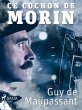 Ce cochon de Morin (eBook, ePUB) - Bild 1