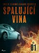 Spalující vina - Díl 1 (eBook, ePUB) - Bild 1