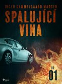 Spalující vina - Díl 1 (eBook, ePUB)