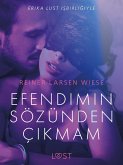 Efendimin Sözünden Çikmam - Erotik Öykü (eBook, ePUB)