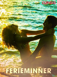 Cover Ferieminner (eBook, ePUB)