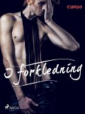 I forkledning (eBook, ePUB)