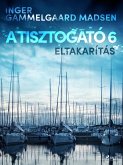 A Tisztogató 6.: Eltakarítás (eBook, ePUB)