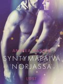 Syntymäpäivä Norjassa - eroottinen novelli (eBook, ePUB)