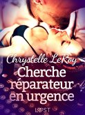 Cherche réparateur en urgence - Une nouvelle érotique (eBook, ePUB) Cherche réparateur en urgence - Une nouvelle érotique (eBook, ePUB)