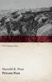 Private Peat (WWI Centenary Series) (eBook, ePUB)
