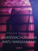 Anayewachungulia watu wakijamiiana - Hadithi Fupi ya Mapenzi (eBook, ePUB)