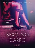 Sexo no carro - Um conto erótico (eBook, ePUB)