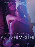 Az ezermester - Szex és erotika (eBook, ePUB)