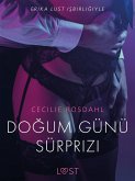 Dogum Günü Sürprizi - Erotik Öykü (eBook, ePUB)