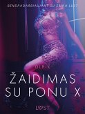 Žaidimas su ponu X – erotinė literatūra (eBook, ePUB)