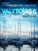 Valytojas 6: Valymas (eBook, ePUB)