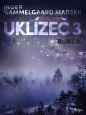 Uklízeč 3: Bunda (eBook, ePUB)