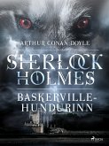 Baskerville-hundurinn (eBook, ePUB)