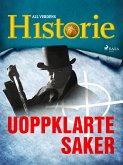 Uoppklarte saker (eBook, ePUB)