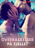 Overraskelser på fjellet (eBook, ePUB)