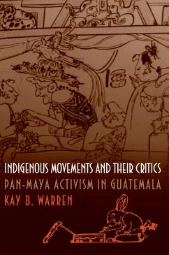 Indigenous Movements and Their Critics (eBook, ePUB) - Warren, Kay B.