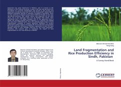 Land Fragmentation and Rice Production Efficiency in Sindh, Pakistan