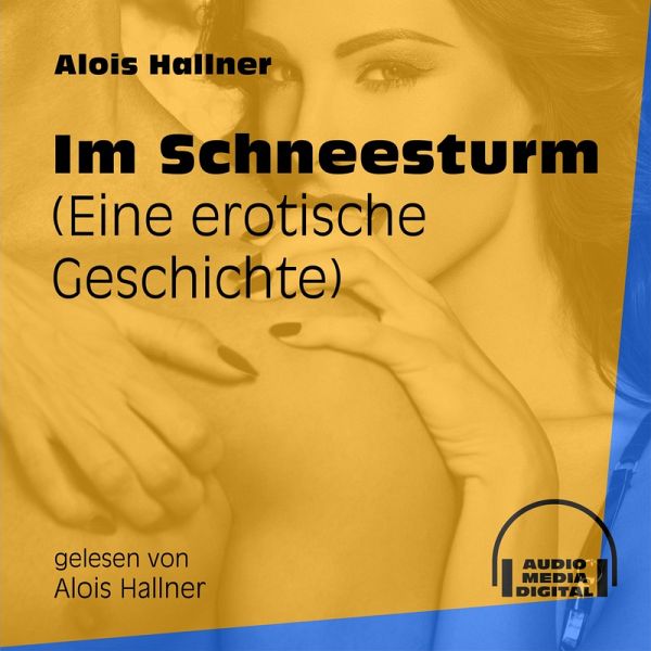 Im Schneesturm (MP3-Download) von Alois Hallner - Hörbuch bei bücher.de  runterladen