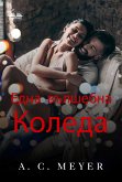 Една Вълшебна Коледа (eBook, ePUB)