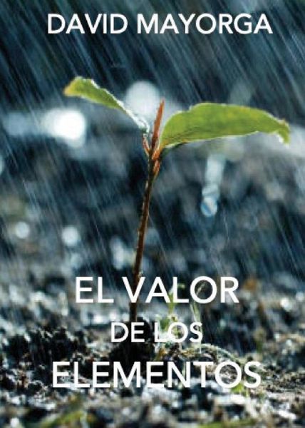 El Valor de Los Elementos El Valor de Los Elementos
