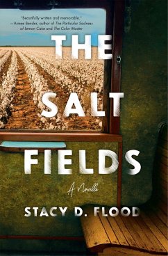 The Salt Fields (eBook, ePUB) - Flood, Stacy