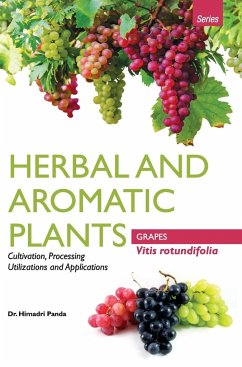 HERBAL AND AROMATIC PLANTS - Vitis rotundifolia (GRAPES) - Panda, Himadri