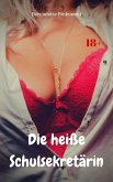 Die heiße Schulsekretärin (eBook, ePUB)