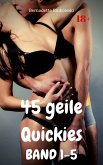 45 geile Quickies Band 1-5 (eBook, ePUB)