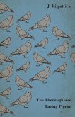 The Thoroughbred Racing Pigeon (eBook, ePUB)
