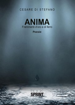 Anima - Frammenti d’oro e di ferro (eBook, ePUB) - Di Stefano, Cesare